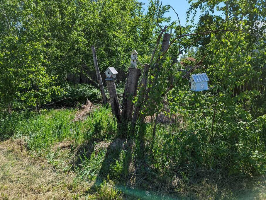 Nunaka Valley Cottage Анкоридж Екстер'єр фото